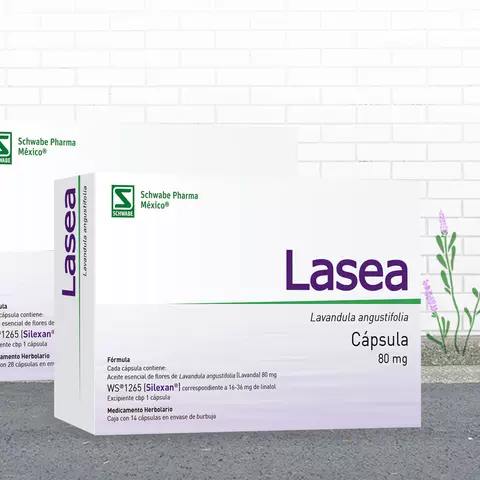 img-presentaciones-lasea